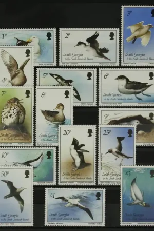 South Georgia Michel 150-164 Oferta limitowana