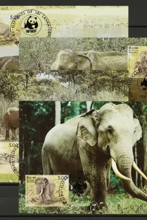 Sri Lanka Michel 753-756 Max. kaarten Oryginalny