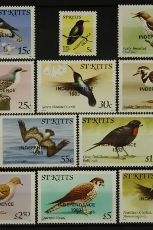 St. Christopher - St. Kitts Michel 107-117 Szybka dostawa