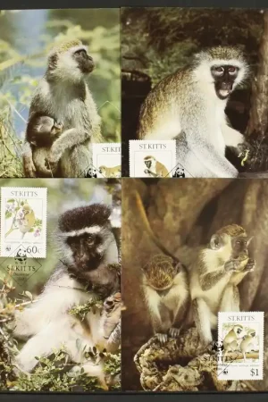 Ostatnia szansa St. Kitts Michel 184-187 Maximumkaarten