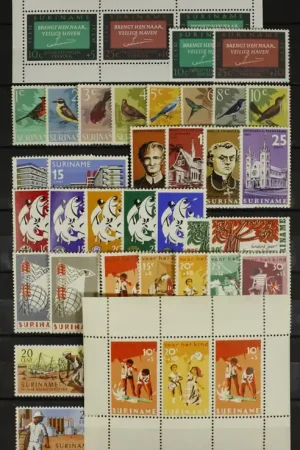 Suriname (Kol.), Jaarset 1966 Promocja