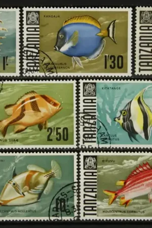 Ekspresowa dostawa Tanzania Michel 28-34