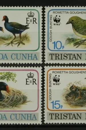 Tristan da Cunda Michel 513-516 Ekspresowa dostawa