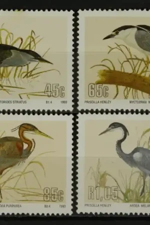 Szybka dostawa Venda Michel 254-257