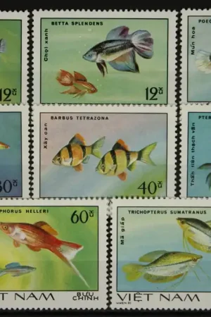 Promocja Vietnam 1145-1152