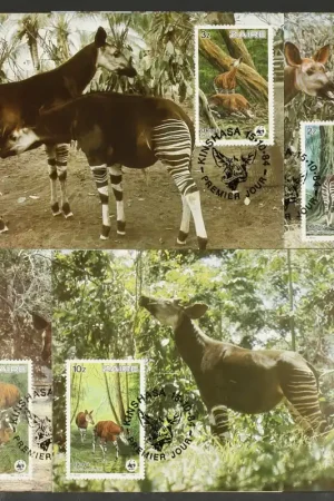 Ostatnia szansa Zaire Michel 875-878 Maximumkaarten