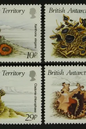 Ekspresowa dostawa Brits Antarctica Michel 152-155