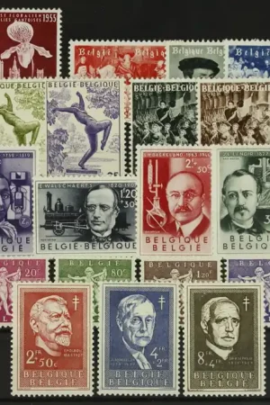 Belgie, Jaarset 1955 Autentyczny