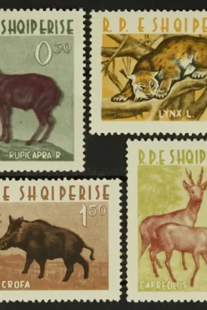 Szybka dostawa Albanie Michel 699-702