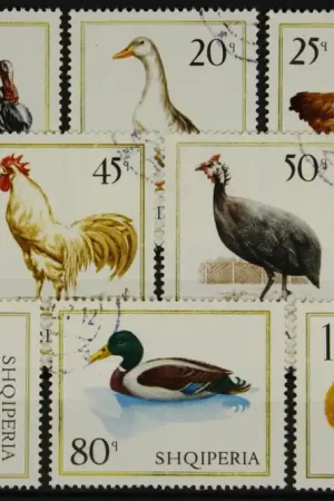 Najlepsza cena Albanie Michel 1213-1220