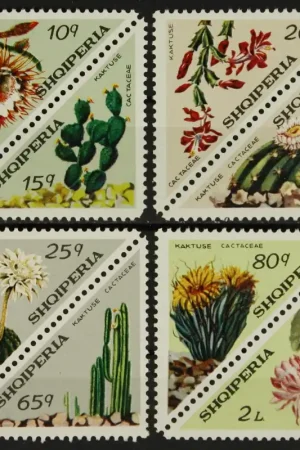 Zwrot pieniędzy Albanie Michel 1612-1619