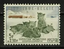 Belgie OBP 1031 Popularny