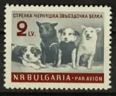 Bulgarije Michel 1249 Wyprzedaż