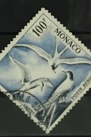 Ostatnia szansa Monaco Michel 502 A