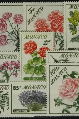 Monaco Michel 609-617 Szybka dostawa