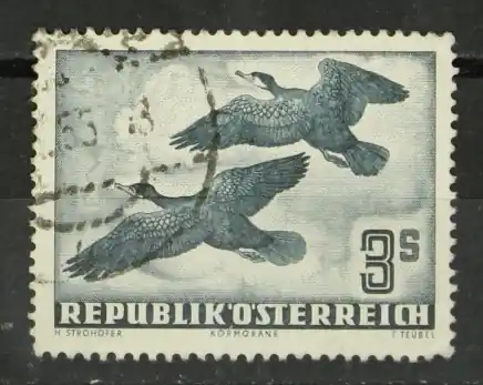 Tylko dziś Oostenrijk Michel 985