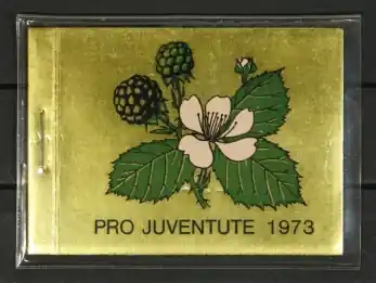 Zwitserland Boekje Pro Juventute 1973 Oryginalny