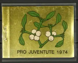 Zwitserland Boekje Pro Juventute 1974 Promocja
