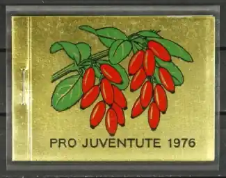 Zwitserland Boekje Pro Juventute 1976 Ekspresowa dostawa