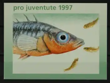 Zwitserland Boekje Pro Juventute 1997 Kup teraz