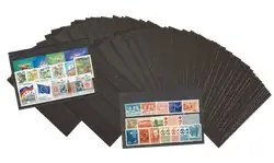 100 insteekkaarten - A6 formaat Darmowa dostawa