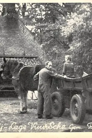 Rabat Lage Vuursche Gem. Baarn Op de boerderij Paard en kar 1955 HC61207