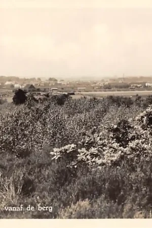 Wysoka jakość Amerongen Panorama vanaf de berg 1955 HC61139
