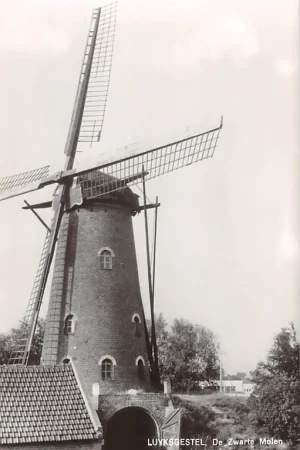 Wysoka jakość Luyksgestel De Zwarte Molen 1973 Noord-Brabant HC61083