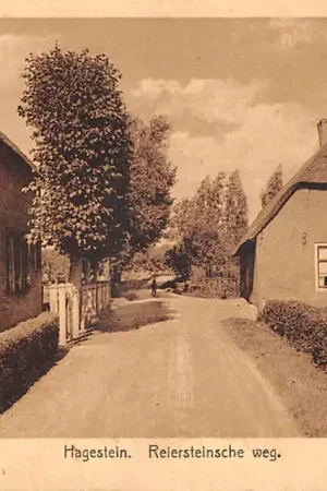 Zamów teraz Hagestein Reiersteinsche weg Boerderij 1927 Vianen Vijfheerenlanden HC60959