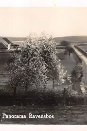 Geulhem Geulem Houthem Panorama Ravensbos 1951 Valkenburg (LB) HC60806 Tani