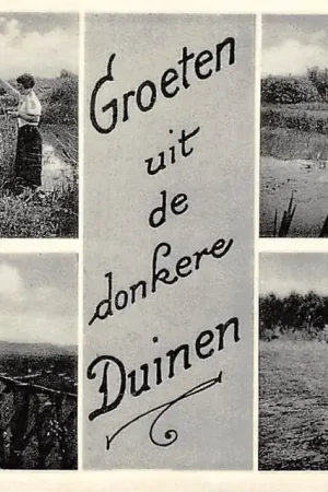 Den Helder Groeten uit de donkere Duinen 1936 HC60789 Wyprzedaż