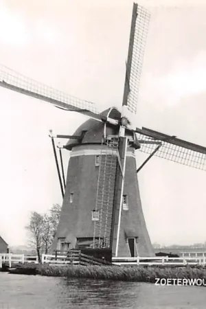Zoeterwoude Molen aan Meerburg 1965 HC60607 Oryginalny