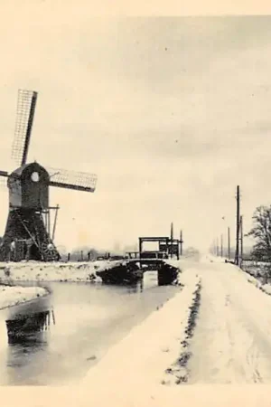 Promocja Onbekend Vroolijk Kerstfeest Molen in de sneeuw HC60587