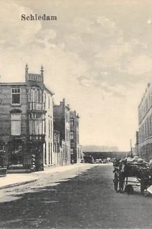 Schiedam Laurens Costerstraat Hondenkar HC60389 Tani