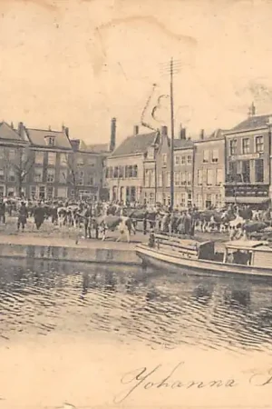 Leiden Beestenmarkt Koeien markt met handelaren 1904 HC60374 Rabat