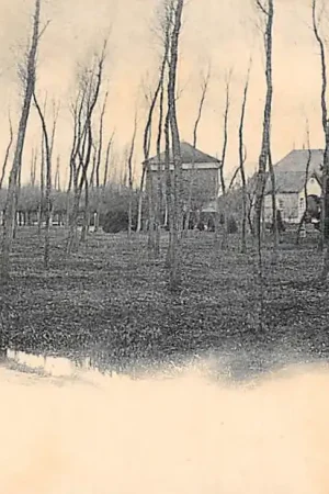 Popularny Ochten Molenhof 1900 Betuwe Vivat No.3214 Neder-Betuwe HC60013