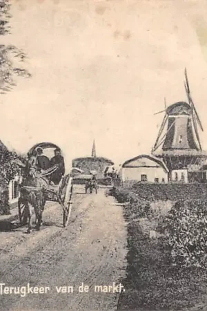 Putten o\\/d Veluwe Terugkeer van de Markt met paard en wagen Molen Dorpsleven HC59965 Niska cena