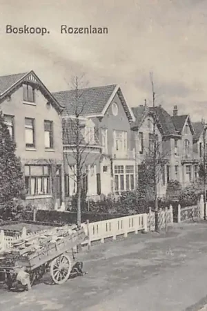 Boskoop Rozenlaan met groenteboer en hondenkar 1929 HC59828 Oferta limitowana