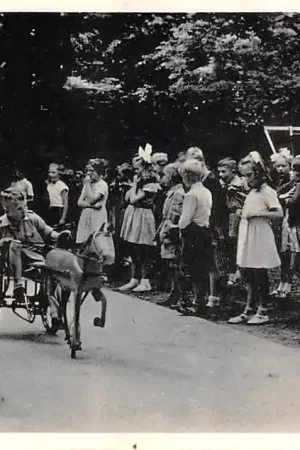 Ekspresowa dostawa Naarden Kleuterrenbaan Ezeltje rijden op verbouwde fietsen N.V. Uitspanning Oud Valkeveen 1954 Kind HC59668