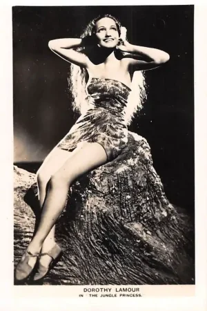 Film Dorothy Lamour In the Jungle Pincess Badmode Pin Up Filmster USA Noord-Amerika HC59547 Darmowa dostawa