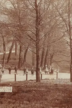 Szybka dostawa Steenwijk Onnawal Fotokaart 1902 HC59236