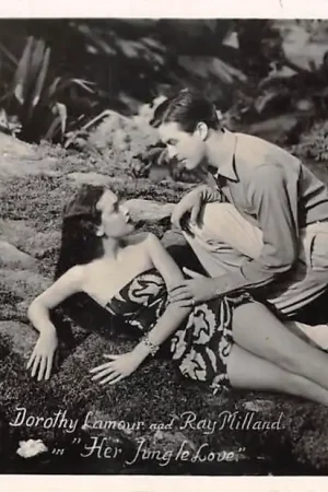 Wyprzedaż Filmster Dorothy Lamour and Ray Milland in Film Her Jungle Love 1721\\/35 Badmode America Noord-Amerika HC59124