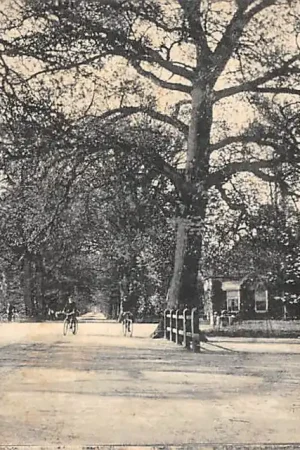 Popularny Delden Laan voor 't Kasteel Twickel 1906 Hof van Twente HC59005