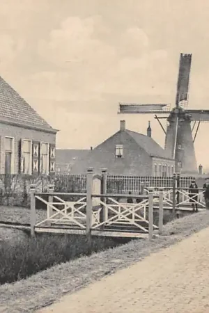 Tani Grijpskerke Molen Walcheren HC58806