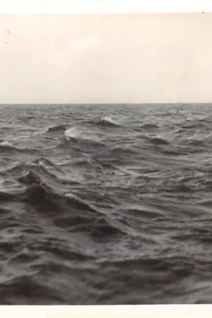 Zwrot pieniędzy Nieuw-Helvoet aan Zee Ruwe Zee Hellevoetsluis 1956 HC58779