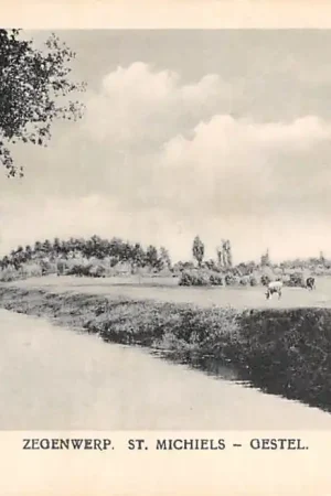 Najlepsza cena Sint-Michielsgestel Buitenplaat van kasteel Zegenworp Koeien in de wei Meierij van 's-Hertogenbosch HC58019