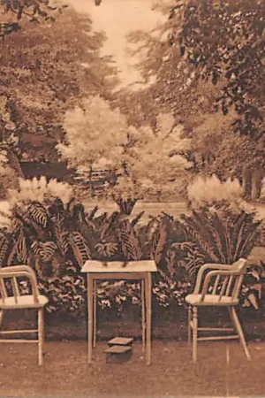 Oryginalny Lunteren Tuin Hotel Pension de Veluwe Terras 1922 HC57514