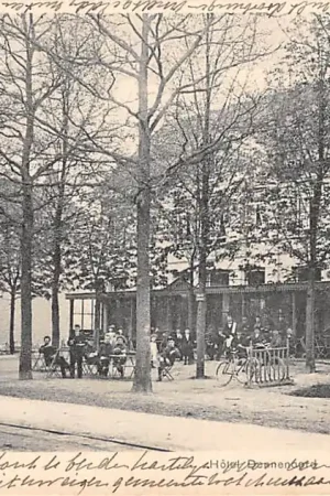 Ginneken Breda Hotel Dennenoord Kleinrondstempel Meeuwen 1903 HC57625 Premium