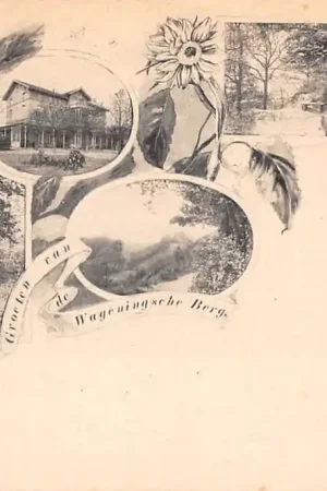 Wageningen Groeten van de Wageningsche Berg voor 1900 Hotel HC57281 Szybka dostawa