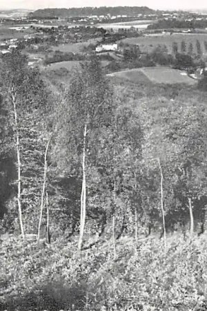 Oryginalny Vaals Panorama op de Duitse Lousberg Limburg HC57200
